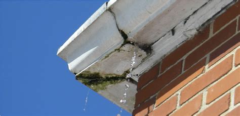 leaking gutter corner|How to Fix a Leaky Gutter Corner in 7 Easy Steps 